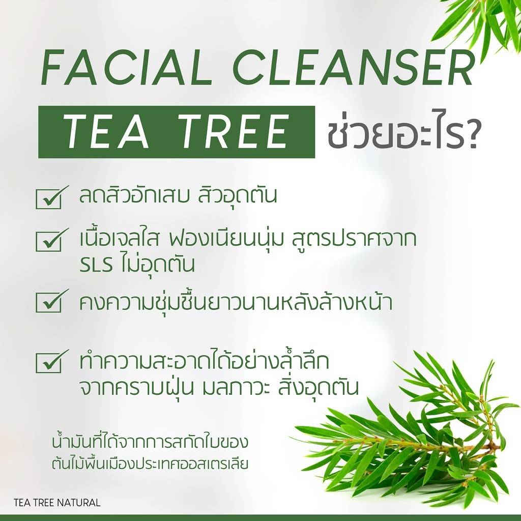 Plantnery Tea Tree Facial Cleanser 